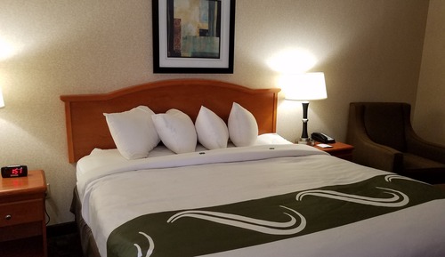 Room, 1 King Bed, Non Smoking, Refrigerator & Microwave