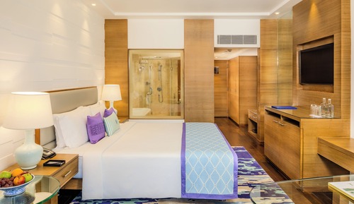 Premium Room, 1 Queen Bed, City View