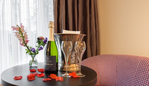 Standard Suite