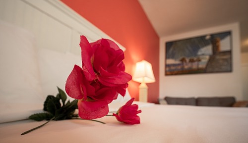 Standard Room, 1 King Bed