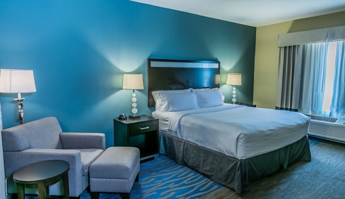 Standard Room, 1 King Bed, Accessible (Communications, Roll-In Shower)