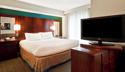 Studio Suite, 1 King Bed with Sofa bed (Pure)