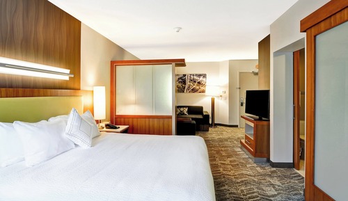 Studio, 1 King Bed with Sofa bed, Non Smoking
