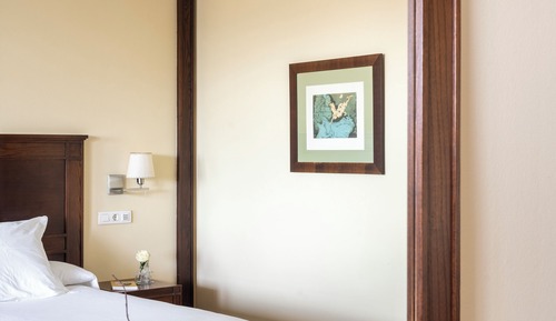 Twin Room (3 adults)