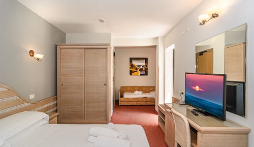 Superior Double or Twin Room