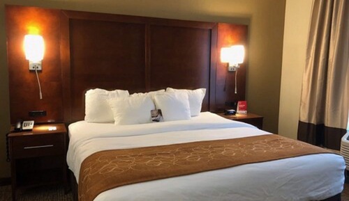 Suite, 1 King Bed with Sofa bed, Non Smoking