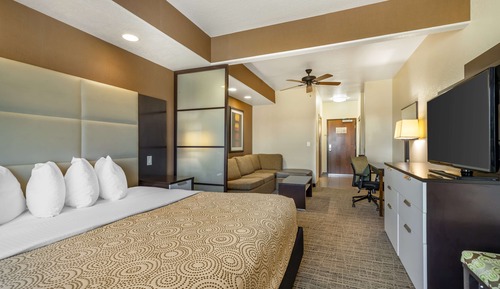 Suite, 1 King Bed, Non Smoking, Refrigerator & Microwave (Walk-in Shower;with Sofabed)
