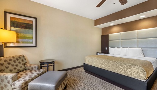 Standard Room, 1 King Bed, Non Smoking, Refrigerator & Microwave (Walk-in Shower)