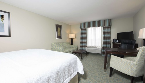 Room, 1 King Bed, Non Smoking