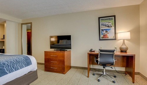 Room, 1 King Bed, Non Smoking