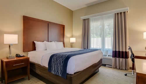 Room, 1 King Bed, Accessible, Non Smoking