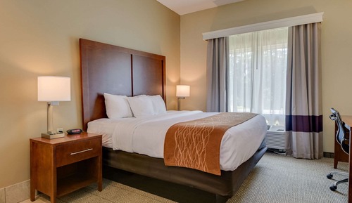 Room, 1 King Bed, Non Smoking (Whirlpool)