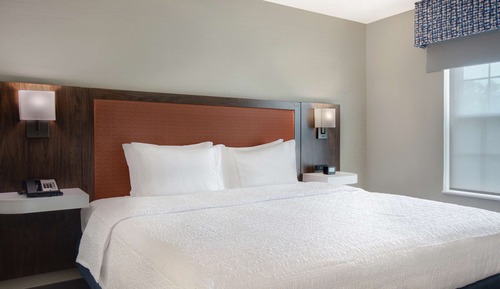 Room, 1 King Bed & Sofa Bed