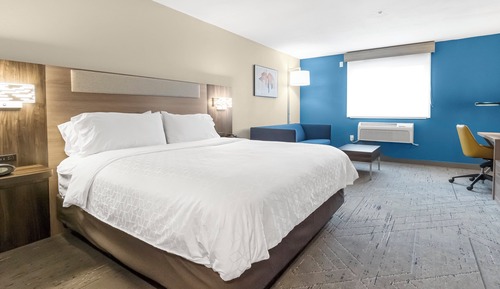 Standard Room, 1 King Bed, Roll-in Shower, Non Smoking (Communications, Roll-In Shower)