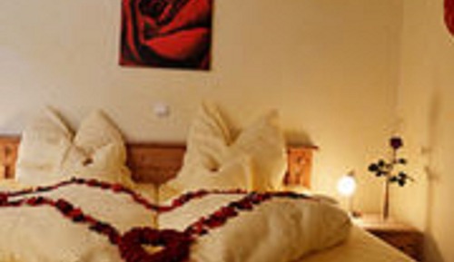 Business Double Room (Rose or Lily)