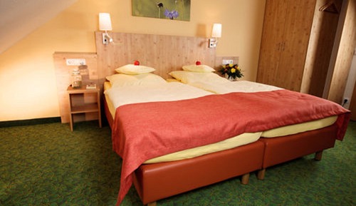 Comfort Double Room (Lily Valley, Marguerite, Tulip, Poppy)