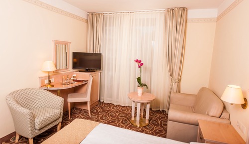 Superior Single Room