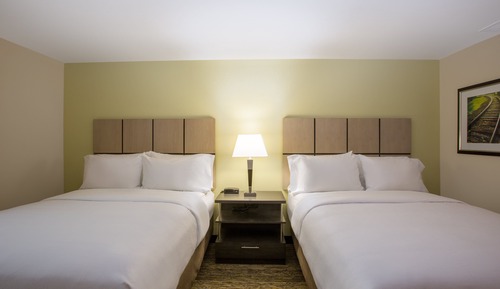 Studio Suite, 2 Queen Beds