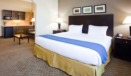 Suite, 1 King Bed with Sofa bed