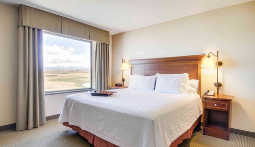 Room, 1 King Bed, Accessible, Non Smoking