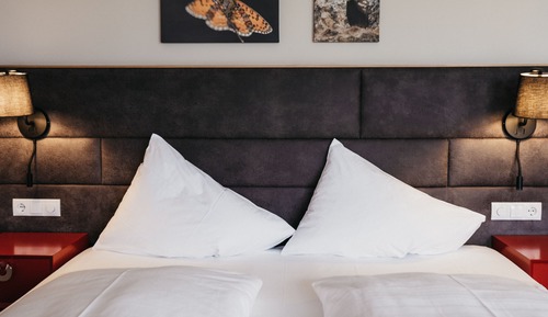 Superior Double Room (Plus)