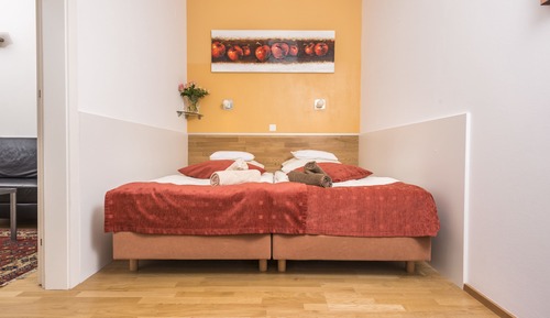 Apartment, 1 Bedroom (3 people - under the roof)