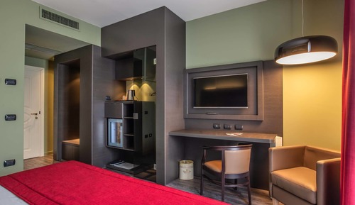 Classic Double Room Single Use