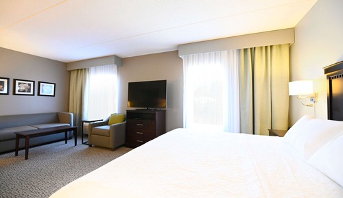 Studio Suite, 1 King Bed with Sofa bed