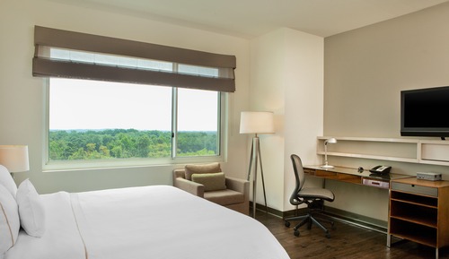 Room, 1 King Bed