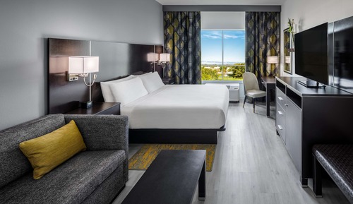 Room, 1 King Bed with Sofa bed