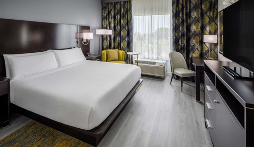 Room, 1 King Bed