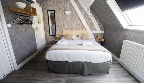 Comfort Single Room