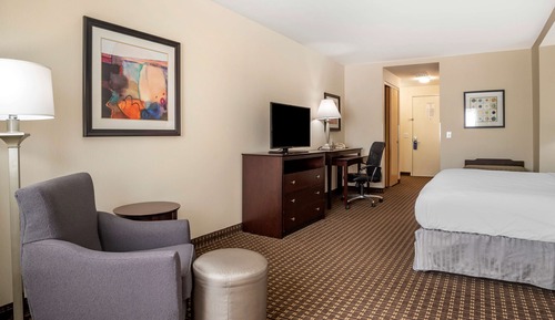 Standard Room, 1 King Bed, Non Smoking, Refrigerator & Microwave