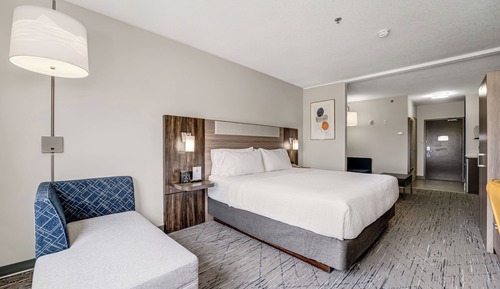Standard Room, 1 King Bed with Sofa bed