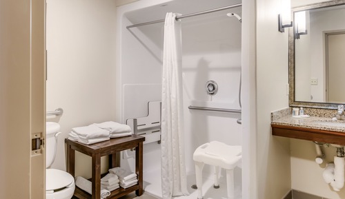 Suite, 1 King Bed with Sofa bed, Accessible, Non Smoking