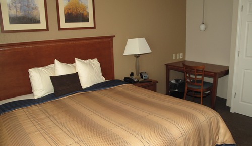 Suite, 1 Bedroom