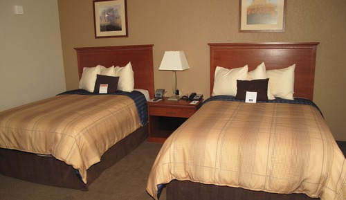 Studio Suite, 2 Double Beds