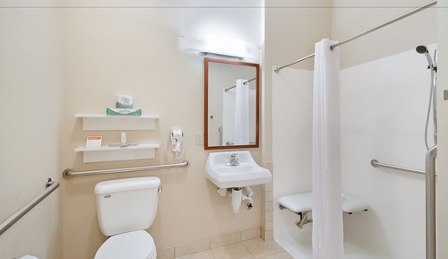 Studio Suite, 1 Queen Bed, Roll-in Shower (Communications)