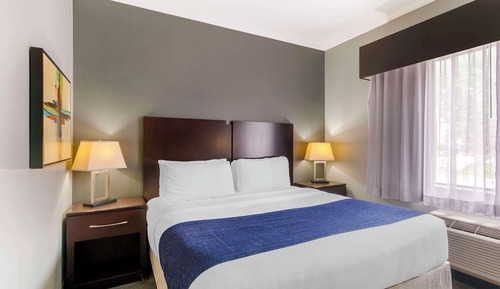 Standard Room, 1 King Bed, Accessible, Refrigerator & Microwave (Living Room)