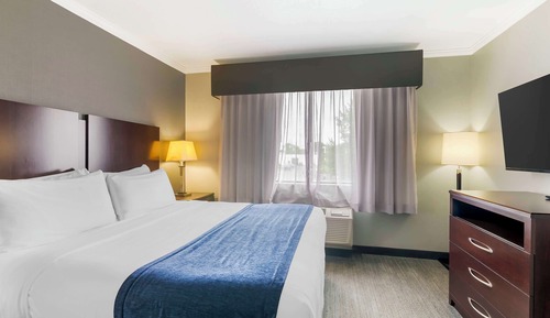 Standard Room, 1 King Bed, Non Smoking, Refrigerator & Microwave (Living Room)