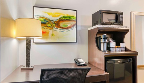 Standard Room, 1 King Bed, Non Smoking, Refrigerator & Microwave (with Sofabed)