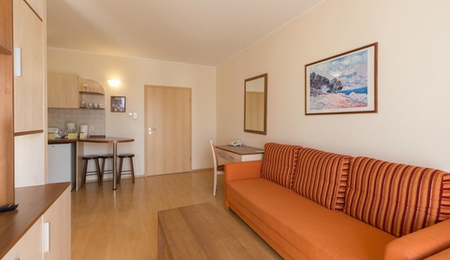 Basic Apartment