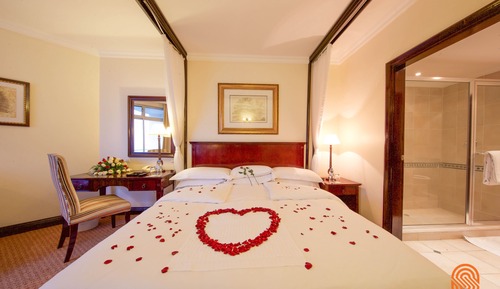 Superior Room, Pool View