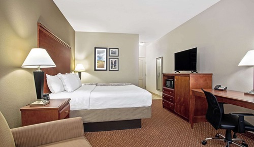 Room, 1 King Bed, Non Smoking