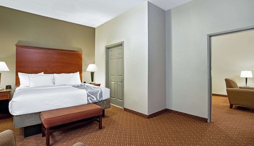 Deluxe Suite, 1 King Bed, Non Smoking