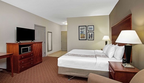 Room, 1 King Bed, Accessible, Non Smoking (Roll-In Shower)