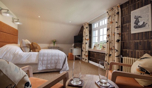 Superior Room, 1 King Bed