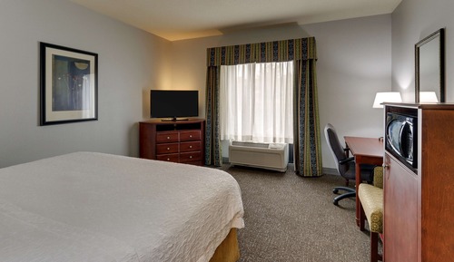 Room, 1 King Bed, Shower Only