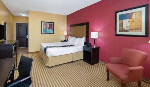 Executive Room, 1 King Bed, Non Smoking