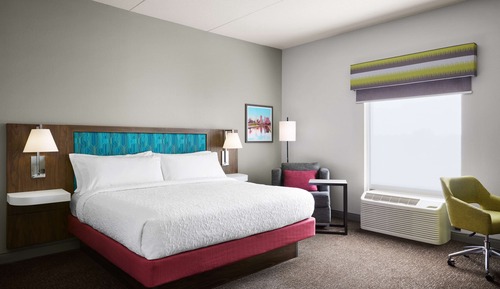 Room, 1 King Bed (Mobility and Hearing Accessible)